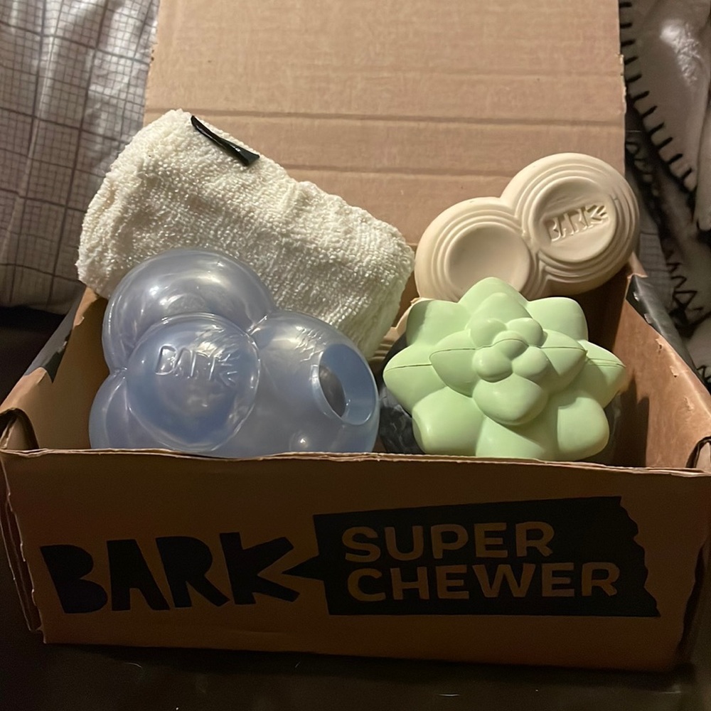 Sold! NWOT! BarkBox! January’s Box! Sit, Stay, Spa Day!